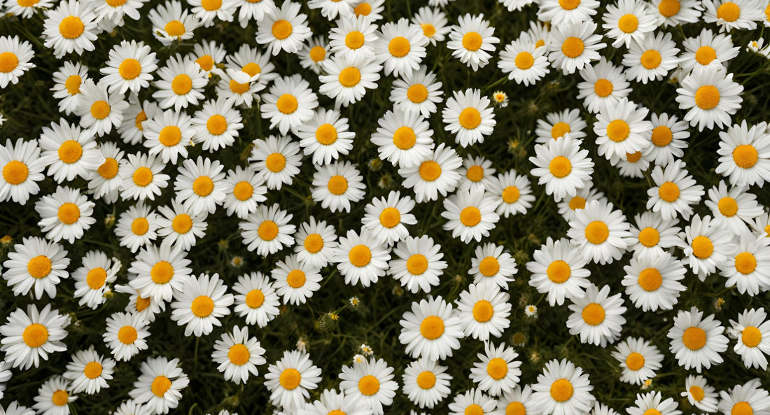 Texture de l’ingrédient